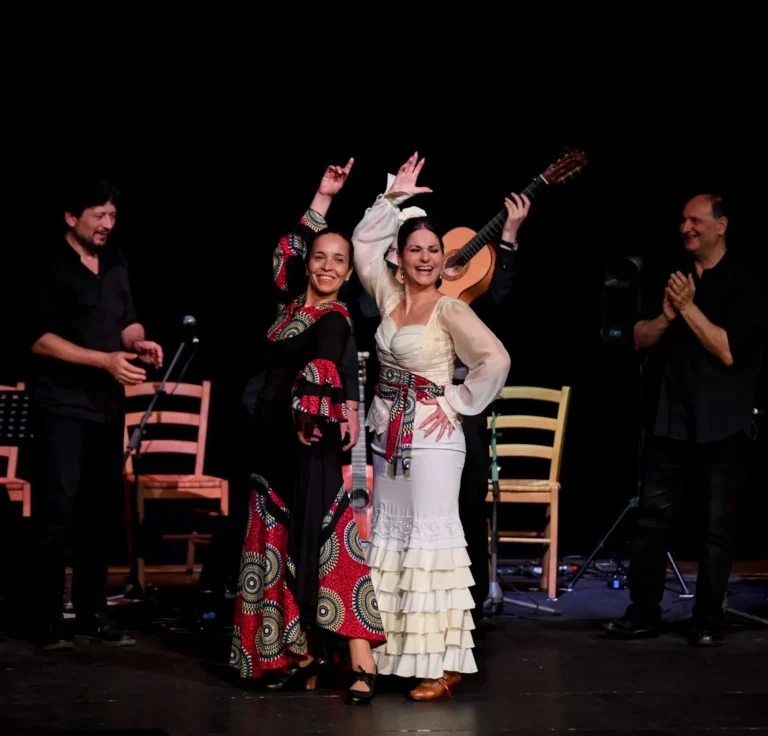 Traveller Flamenco Concert