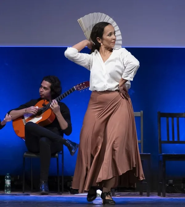 Traveller Flamenco Concert